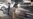 Gunmen Kill Japanese Aid Worker, 5 Others in Afghanistan
