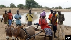 Villagers gather in front of a dam near the village of Labgar in northern Senegal on 12 Nov 2009. There is little to show for it apart from small acacia shrubs, but Senegal's leader believes in a Great Green Wall that will stem desertification across Afri