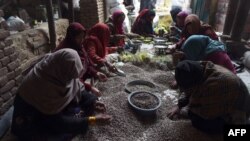 FILE - Afghan women prepare pistachio seeds at a local dried fruit factory in Kabul, Dec. 31, 2014.