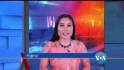 နေ့စဉ် တီဗွီသတင်းလွှာ (၀၃-၂၅-၂၀၂၀)