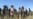 Regional Forces in Ethiopia Withdraw from Tigray