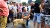 เทศกาลกินเนื้อสุนัขในจีนเดินหน้าแม้ถูกกลุ่มสิทธิสัตว์ต่อต้าน 