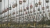 Birds sit in their cages during the annual bird-singing competition in Thailand&#39;s southern province of Narathiwat.