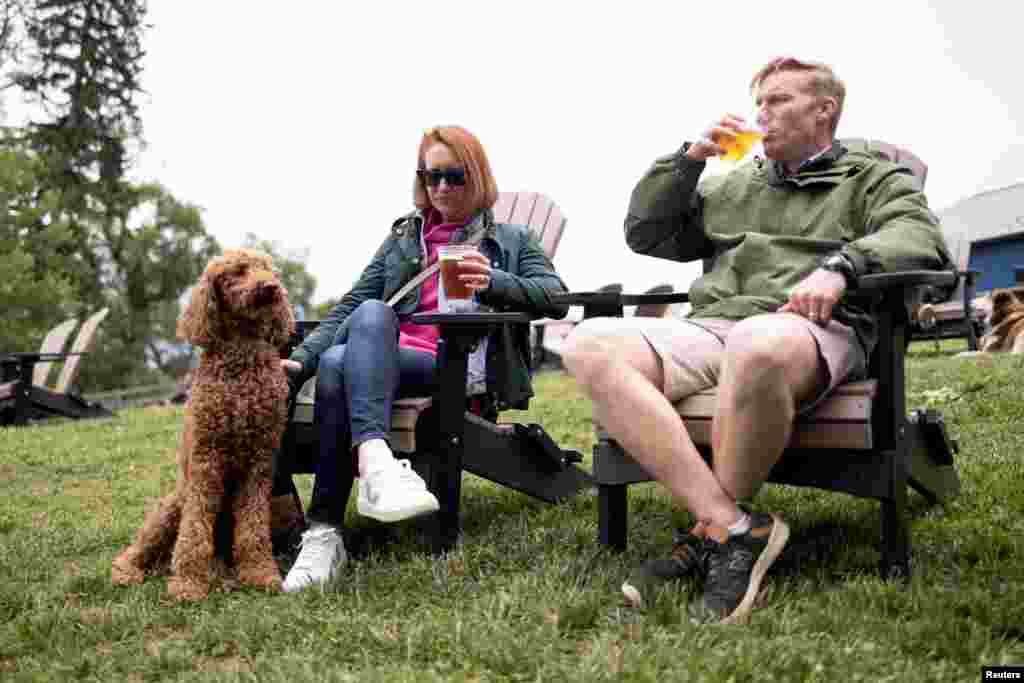 Una pareja bebe cerveza junto a su perro en Harpers Ferry Brewing durante el fin de semana del D&#237;a de los Ca&#237;dos en Hillsboro, Virginia. 