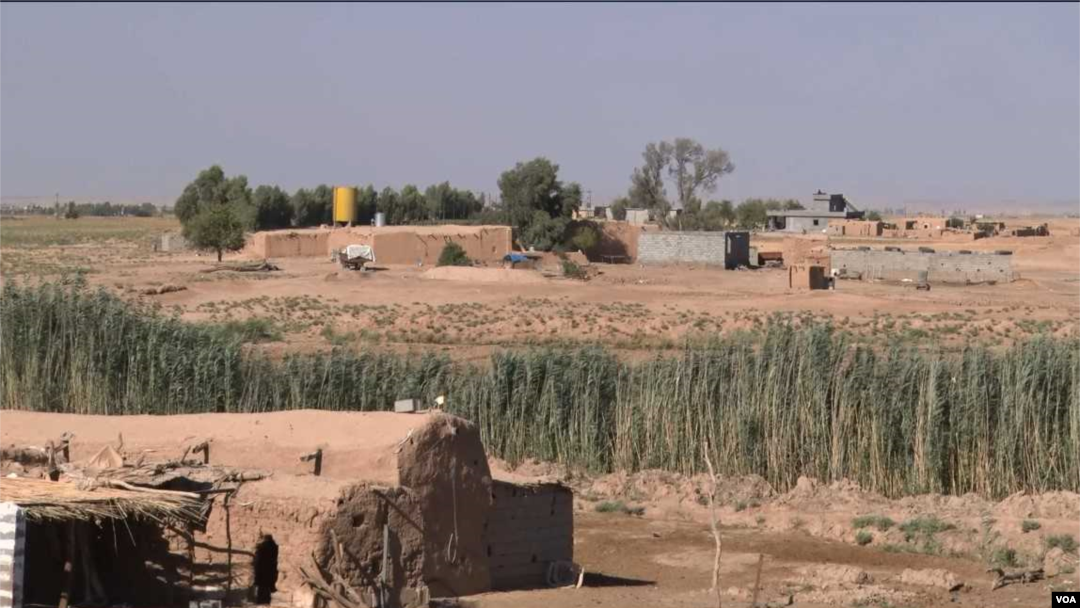 کەرکوک
