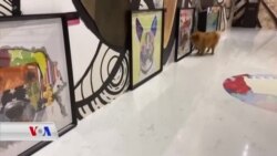 Li Hong Kongê Pêşangeha Hunerê ya Kûçikan