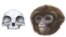 The extinct ape Pliobates cataloniae, with the front view of its skull, is seen in this reconstruction illustration by the Catalan Institute of Paleontology near Barcelona. 