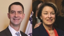 资料照片：阿肯色州的共和党联邦参议员科顿(左)和来自明尼苏达州的民主党联邦参议员克洛布查尔。