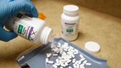 A pharmacy tech pours out pills of hydroxychloroquine at Rock Canyon Pharmacy in Provo, Utah, May 20, 2020.