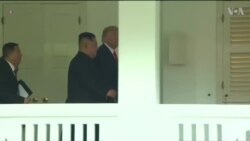 NO COMMENT: Թրամփ - Կիմ Չեն Ըն. Ողջույն պատշգամբից