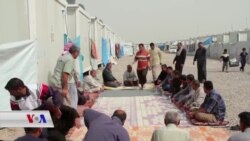 ئاوارەکانی ئەنبار لە نێوان بەرداشى داعش و میلیشیاکان