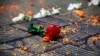 FILE - Flowers lie at the site where Avijit Roy was attacked and killed, in Dhaka, Bangladesh on Feb. 27, 2015. Roy, a prominent Bangladeshi-American blogger, known for speaking out against religious fundamentalism was hacked to death in the streets of Bangladesh's capital as he walked with his wife, police said Friday.