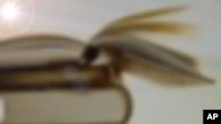 لفظ کہانی: بشارت