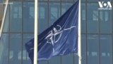 რატომ არ მიიწვიეს საქართველო ნატოს სამიტზე?