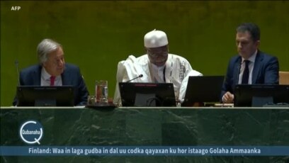QM oo eegeysa hindise sharciyeed ka dhan ah Israel
