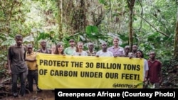 Greenpeace Afrique et les habitants du Parc de la Salonga demandent la protection de 30 millions de tonnes de carbone, le 8 août 2019. (Twitter/Greenpeace Afrique)