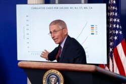 Dr. Anthony Fauci, director of the National Institute of Allergy and Infectious Diseases, speaks about the coronavirus in the James Brady Press Briefing Room of the White House, March 31, 2020, in Washington.