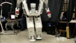 Riding a 270-kilogram Walking Robot