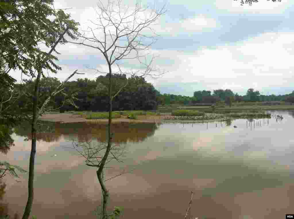 Kenilworth doğanın sadelik ve huzurunu sunuyor
