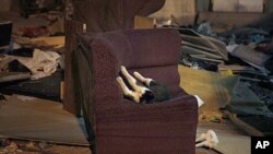 A cat plays on a discarded sofa in a dump in Shenyang in northern China's Liaoning province (file photo)
