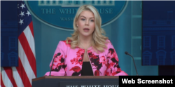 کارولاین لیویت، سخنگوی کاخ سفید