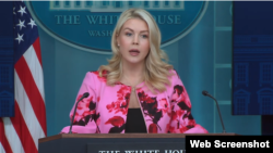 کارولین لویت، سخنگوی کاخ سفید