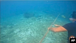 菲律宾海警队2023年9月25日公布派人在斯卡伯勒浅滩刀割中国浮标绳子的照片。