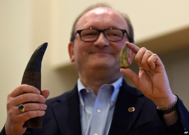 FILE - Hans-Dieter Sues, chair of the Department of Paleobiology at the Smithsonian's National Museum of Natural History, holds up a tooth of a new dinosaur, Timurlengia euotica, March 14, 2016. (AP Photo/Susan Walsh)