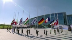 NATO Marks 70th Anniversary in Washington Amid Transatlantic Tensions