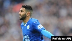 Pemain Leicester City, Riyad Mahrez, merayakan kemenangan dalam pertandingan melawan Swansea City di Leicester, Inggris (24/4). 