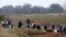 Grupa migranata probija se kroz polja posle prelaska srpsko-madjarske granice blizu sela Reske. 