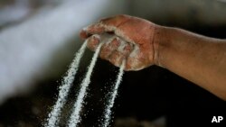 Seorang pekerja menaburkan bubuk yang terbuat dari daun-daun koka sebagai rangkaian proses membuat kokaina di Lembah Micay, barat daya Kolombia, 13 Agustus 2024. (Foto: Fernando Vergara/AP Photo)