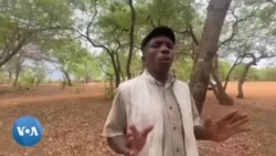 Ukhansila Ukhala Ngokuholiswa Ukudla Okulutshwane Njalo Lengqoloyi Eyehlula Izakhamizi