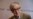Growing Number of Actors Renounce Woody Allen