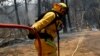 Destrucción y muerte en descontrolados incendios forestales en California 