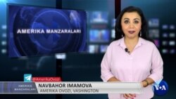 Amerika Manzaralari: Muhojirlar, texnologiya, boks