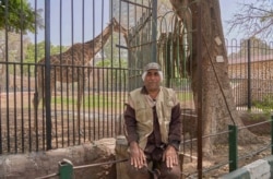 Nady Abdulhalim Mahmoud, a zookeeper, is anxious for public life to start again but fears the virus, in Giza, Cairo, April 16, 2020. (Hamada Elrasam/VOA)
