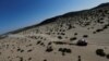 Toyota Gazoo Racing&#39;s Nasser Al-Attiyah and Co-Driver Matthieu Baumel compete during Stage 1 of the Dakar Rally between Jeddah and Bisha in Saudi Arabia.