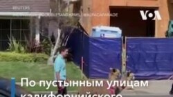 Лам по городу водили