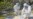 Avian Flu Hits Bird Paradise of Galapagos Islands