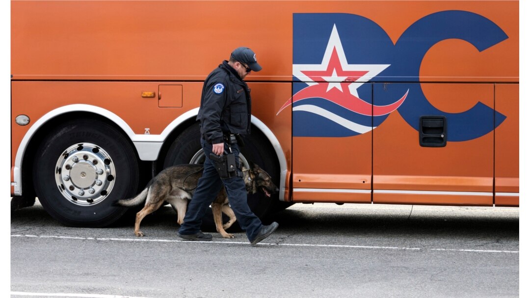 A US Capitol police K-9 unit officer check a bus waiting to enter the U.S. Capitol in Washington, D.C., on March 4, 2021.