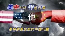 美国总统特朗普的中国问题权威-白邦瑞简介