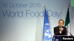 U.N. Secretary-General Ban Ki-moon speaks at the official celebration of "World Food Day 2015" at Expo Milan in Milan, Italy, Oct. 16, 2015. 