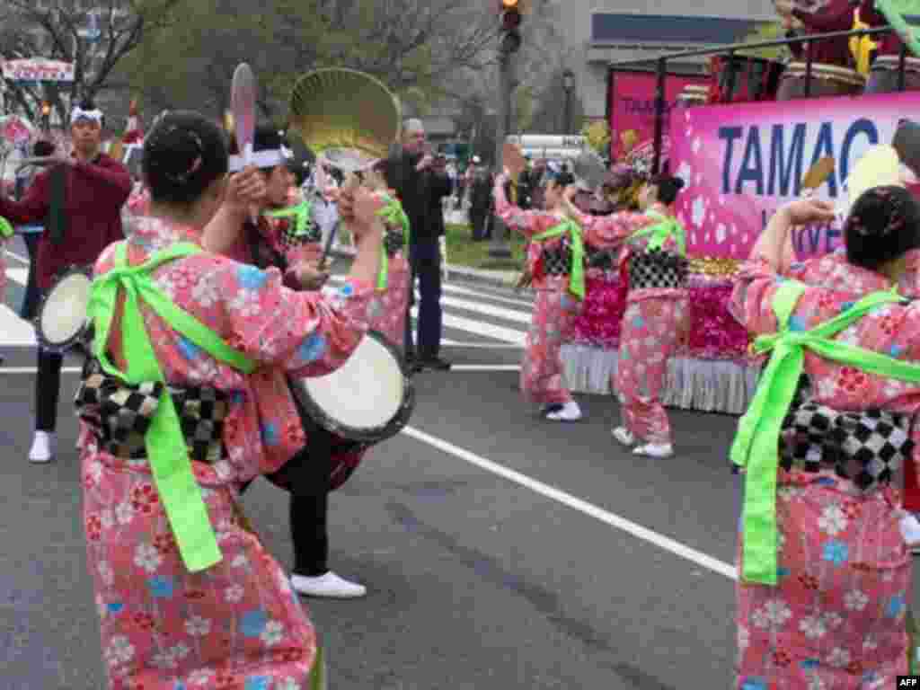 Lễ hội Hoa Anh Ðào 2011 ở thủ đô Washington (VOA - Trà Mi)