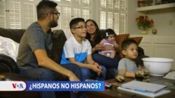 Hispanos nacidos en EEUU afianzan sus raíces latinas