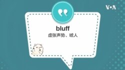 学个词 - bluff