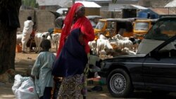 Wata Matar Da ta Gudu Zuwa Gombe Daga Maiduguri Da 'Ya'yanta - 1:54