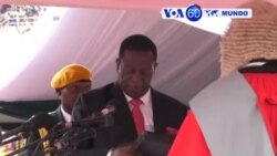 Manchetes Mundo 24 Novembro 2017: Comboio descarrila na India