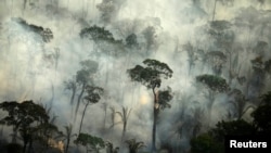 Smoke billows during a fire in an area of the Amazon rainforest near Porto Velho, Rondonia State, Brazil, Sept. 10, 2019.