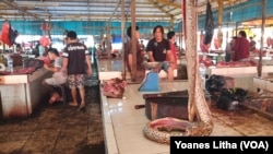 Ular sawah yang ditawarkan seharga Rp50 ribu per kilogram di pasar ekstrem, Tomohon, Sulawesi Utara, 10 Maret 2020. Pasar daging hewan di Tomohon, Sulawesi Utara memutuskan menghentikan penjualan daging anjing dan kucing. (Foto: Yoanes Litha/VOA)